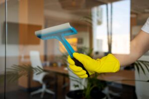 Services window cleaning small